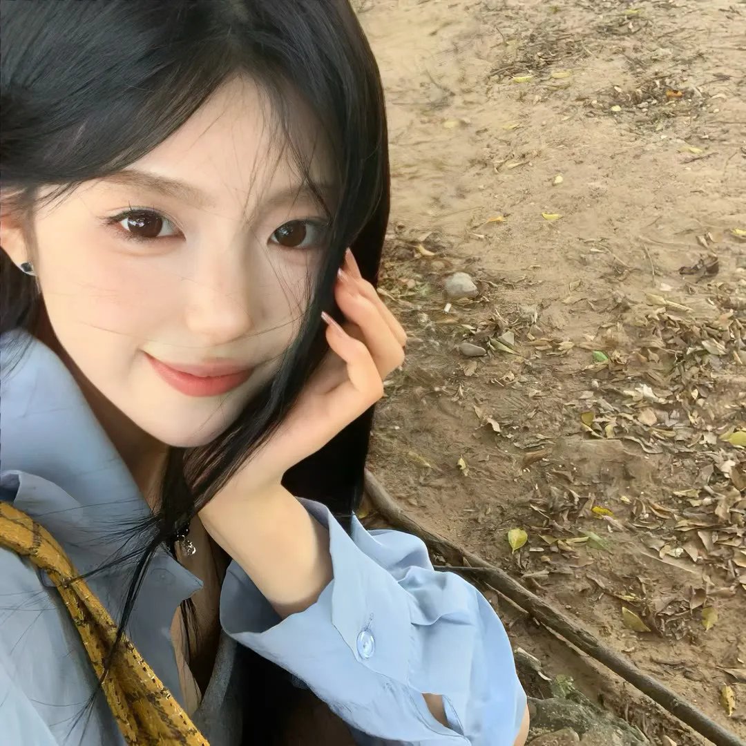 木材宝藏狗